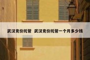 武汉竞价托管  武汉竞价托管一个月多少钱
