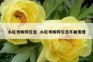 小红书如何引流  小红书如何引流不被发现