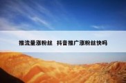 推流量涨粉丝  抖音推广涨粉丝快吗