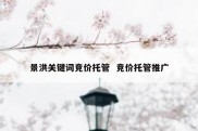 景洪关键词竞价托管  竞价托管推广