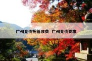 广州竞价托管收费  广州竞价要求
