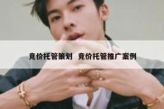 竞价托管策划  竞价托管推广案例