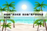 安阳推广竞价托管  竞价推广账户竞价托管多少钱
