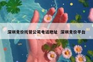 深圳竞价托管公司电话地址  深圳竞价平台