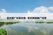 竞价推广托管价格  竞价网络推广托管