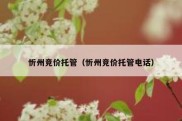 忻州竞价托管（忻州竞价托管电话）