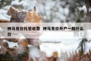 神马竞价托管收费  神马竞价开户一般什么价