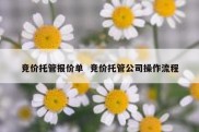 竞价托管报价单  竞价托管公司操作流程