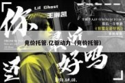 竞价托管.亿驱动力（竞价托管）