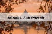 竞价托管外包  竞价托管外包哪家好