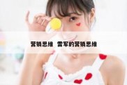 营销思维  雷军的营销思维