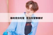 潍坊竞价托管  竞价托管那里好