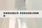 灵宝竞价托管公司  灵宝竞价托管公司有哪些