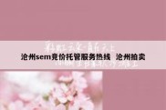 沧州sem竞价托管服务热线  沧州拍卖