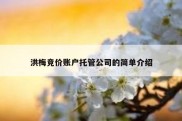 洪梅竞价账户托管公司的简单介绍
