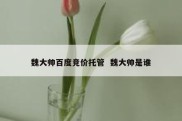 魏大帅百度竞价托管  魏大帅是谁