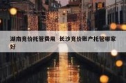 湖南竞价托管费用  长沙竞价账户托管哪家好