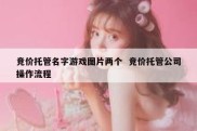 竞价托管名字游戏图片两个  竞价托管公司操作流程
