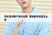 河北竞价账户竞价托管  竞价账号托管怎么样