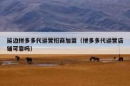 延边拼多多代运营招商加盟（拼多多代运营店铺可靠吗）