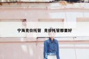 宁海竞价托管  竞价托管那里好