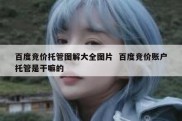 百度竞价托管图解大全图片  百度竞价账户托管是干嘛的