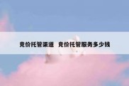 竞价托管渠道  竞价托管服务多少钱