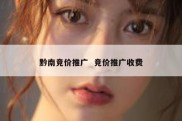 黔南竞价推广  竞价推广收费