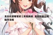 竞价托管哪家好亅异变网络  竞价托管公司操作流程