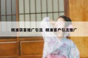 精准获客推广引流  精准客户引流推广