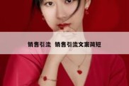 销售引流  销售引流文案简短