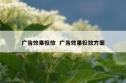 广告效果投放  广告效果投放方案