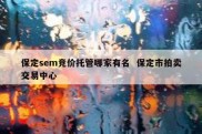 保定sem竞价托管哪家有名  保定市拍卖交易中心