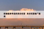安徽服务专业的竞价托管  竞价托管推广服务