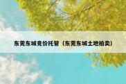 东莞东城竞价托管（东莞东城土地拍卖）