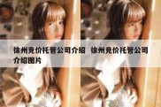 徐州竞价托管公司介绍  徐州竞价托管公司介绍图片