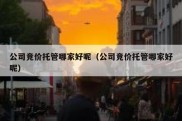 公司竞价托管哪家好呢（公司竞价托管哪家好呢）