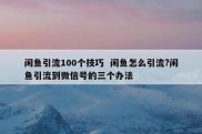 闲鱼引流100个技巧  闲鱼怎么引流?闲鱼引流到微信号的三个办法
