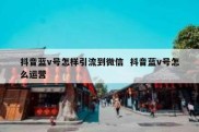 抖音蓝v号怎样引流到微信  抖音蓝v号怎么运营