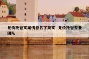 竞价托管文案伤感名字英文  竞价托管专业团队