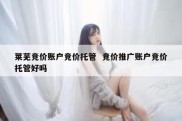 莱芜竞价账户竞价托管  竞价推广账户竞价托管好吗