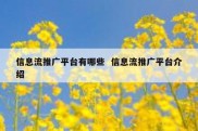 信息流推广平台有哪些  信息流推广平台介绍