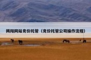 揭阳网站竞价托管（竞价托管公司操作流程）