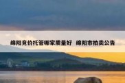 绵阳竞价托管哪家质量好  绵阳市拍卖公告