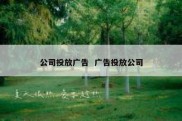 公司投放广告  广告投放公司