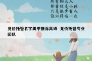 竞价托管名字美甲推荐高级  竞价托管专业团队