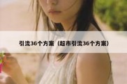 引流36个方案（超市引流36个方案）