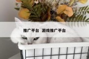 推广平台  游戏推广平台