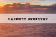 托管竞价哪个好  哪家竞价托管专业