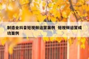 制造业抖音短视频运营案例  短视频运营成功案例